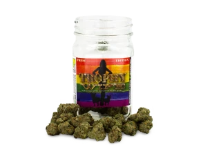 Jar filled with various weed flower buds representing the flower category.
